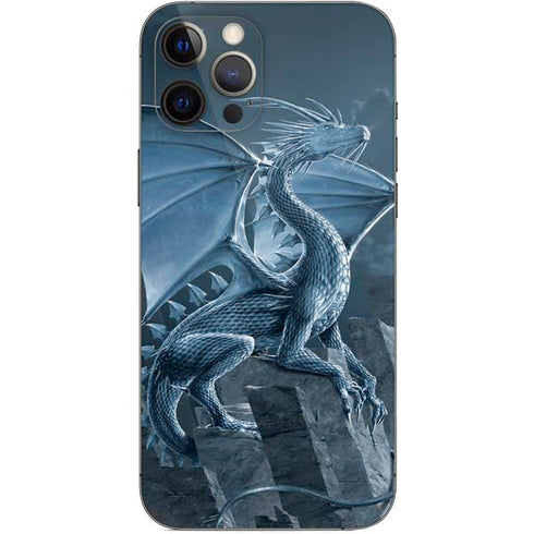 Vincent Hie Silver Dragon iPhone 12 Pro Max Skin