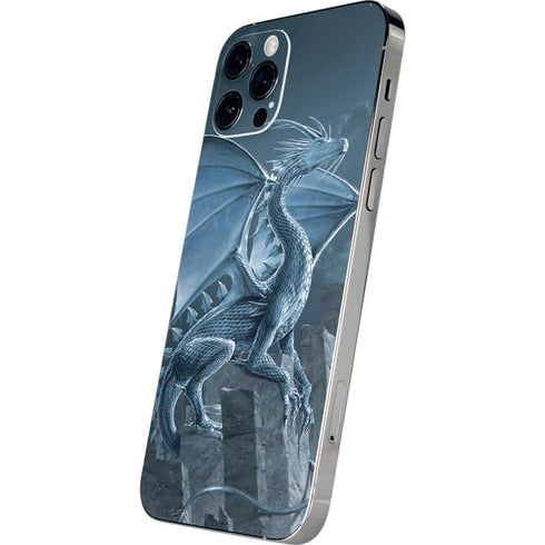 Vincent Hie Silver Dragon iPhone 12 Pro Max Skin