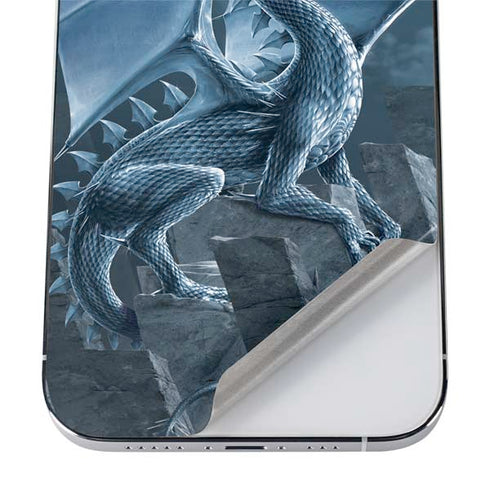 Vincent Hie Silver Dragon iPhone 12 Pro Max Skin