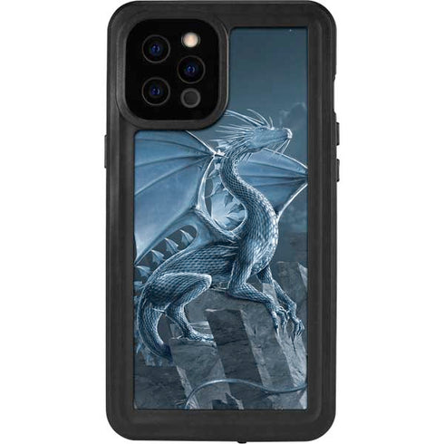 Vincent Hie Silver Dragon iPhone 12 Pro Max Waterproof Case