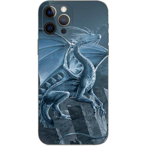 Vincent Hie Silver Dragon iPhone 12 Pro Skin