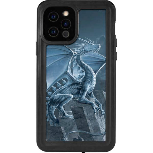 Vincent Hie Silver Dragon iPhone 12 Pro Waterproof Case