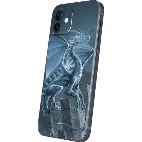 Vincent Hie Silver Dragon iPhone 12 Skin
