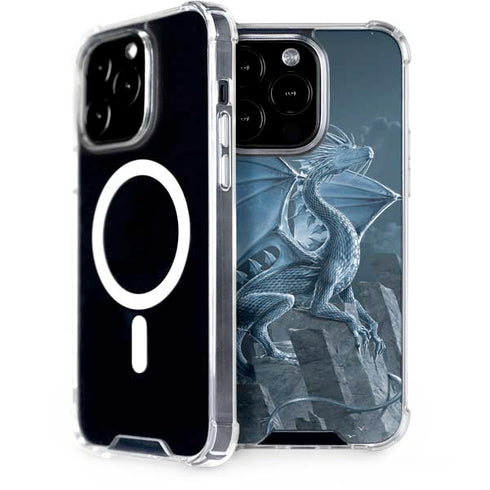 Vincent Hie Silver Dragon iPhone 13 Pro MagSafe Case