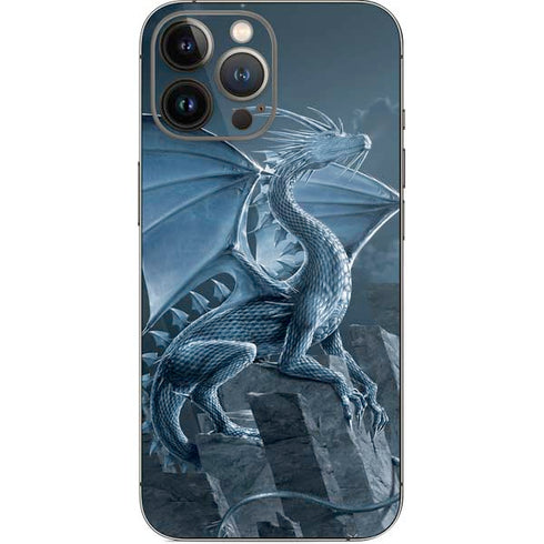 Vincent Hie Silver Dragon iPhone 14 Pro Max Skin