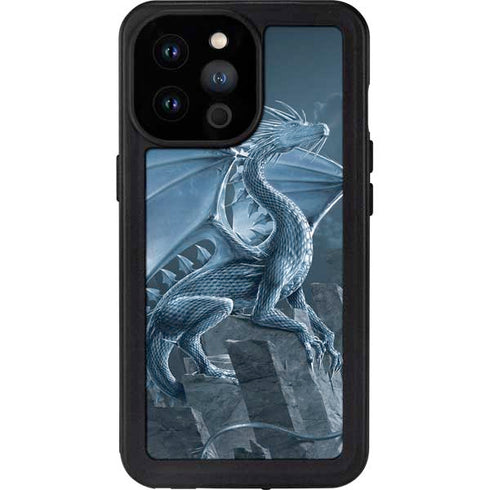 Vincent Hie Silver Dragon iPhone 14 Pro Max Waterproof Case