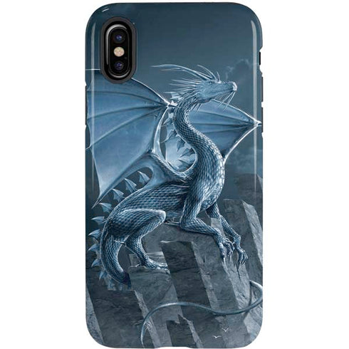 Vincent Hie Silver Dragon iPhone X Pro Case
