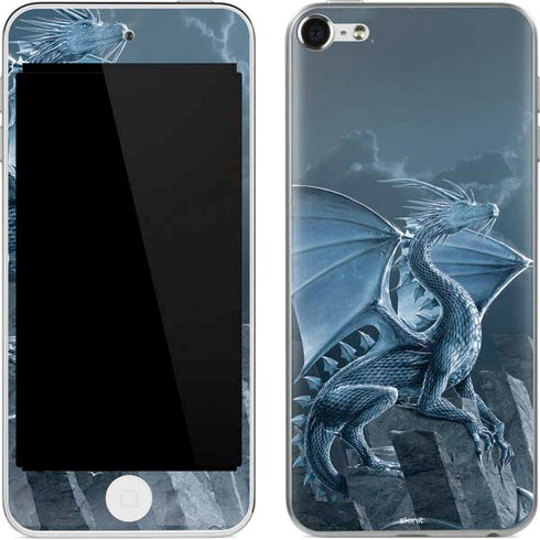 Vincent Hie Silver Dragon Apple iPod Skin