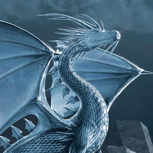 Vincent Hie Silver Dragon Moto E5 Play Skin