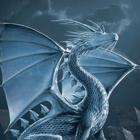 Vincent Hie Silver Dragon Moto G6 Skin