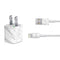 Silver Marble iPhone Charger (5W USB) Skin