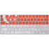 Singapore Flag Distressed Magic Keyboard Skin