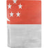 Singapore Flag Distressed PS5 Bundle Skin