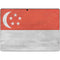 Singapore Flag Distressed Surface Pro 8 Skin