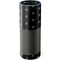 Alchemy Skull and Crossbone Pattern Amazon Echo Skin