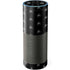 Alchemy Skull and Crossbone Pattern Amazon Echo Skin