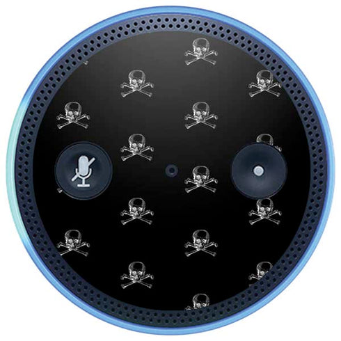 Alchemy Skull and Crossbone Pattern Amazon Echo Skin