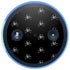 Alchemy Skull and Crossbone Pattern Amazon Echo Skin