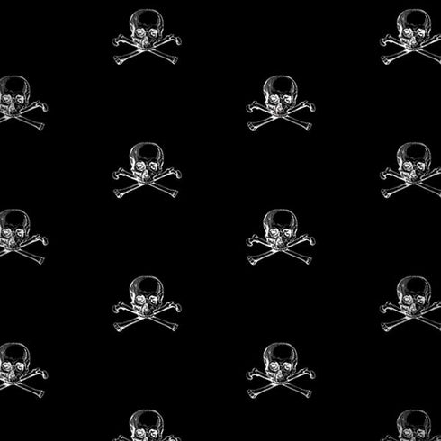 Alchemy Skull and Crossbone Pattern Amazon Echo Skin