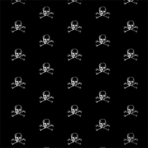 Alchemy Skull and Crossbone Pattern Dell Inspiron Skin