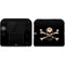 Alchemy Skull and Crossbones Nintendo 2DS Skin
