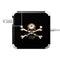 Alchemy Skull and Crossbones 85W Power Adapter (15 and 17 inch MacBook Pro Charger) Skin