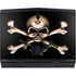 Alchemy Skull and Crossbones Dell Alienware Skin