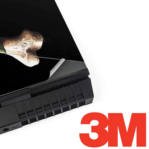 Alchemy Skull and Crossbones Dell Alienware Skin