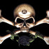 Alchemy Skull and Crossbones Dell Alienware Skin