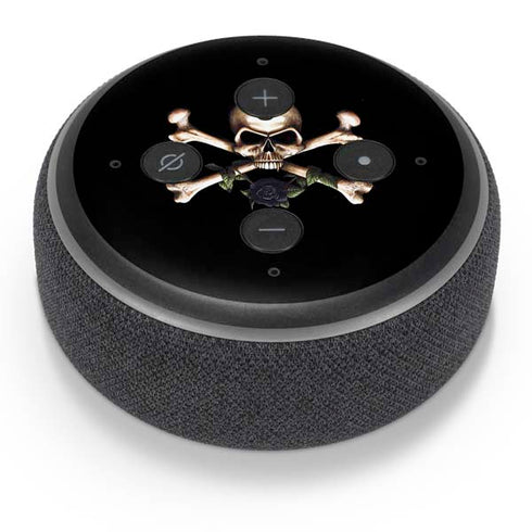 Alchemy Skull and Crossbones Amazon Echo Dot Skin