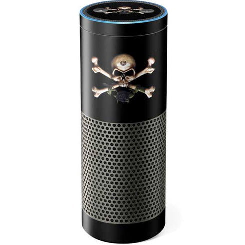 Alchemy Skull and Crossbones Amazon Echo Skin