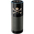 Alchemy Skull and Crossbones Amazon Echo Skin
