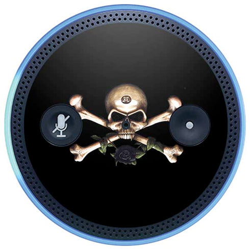 Alchemy Skull and Crossbones Amazon Echo Skin