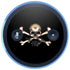 Alchemy Skull and Crossbones Amazon Echo Skin