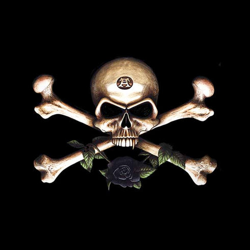 Alchemy Skull and Crossbones Amazon Echo Skin