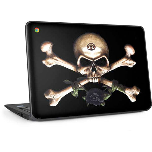 Alchemy Skull and Crossbones HP Chromebook Skin