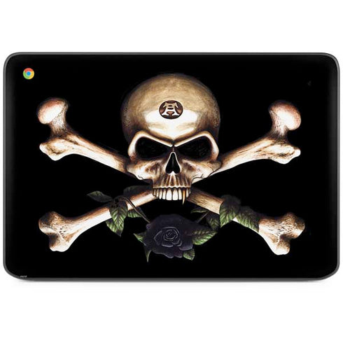 Alchemy Skull and Crossbones HP Chromebook Skin