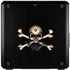 Alchemy Skull and Crossbones Cooler Master MasterBox Q300L Mini Tower Skin