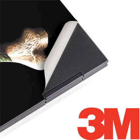 Alchemy Skull and Crossbones HP Envy Skin