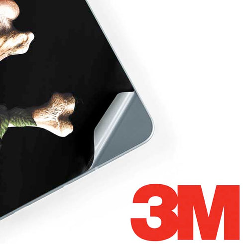 Alchemy Skull and Crossbones Galaxy Book 12in Skin