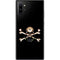 Alchemy Skull and Crossbones Galaxy Note 10 Plus Skin