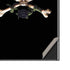 Alchemy Skull and Crossbones Galaxy Note20 Ultra 5G Skin