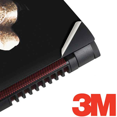 Alchemy Skull and Crossbones Dell Inspiron Skin