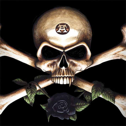 Alchemy Skull and Crossbones Dell Inspiron Skin