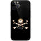 Alchemy Skull and Crossbones iPhone 12 Pro Max Skin