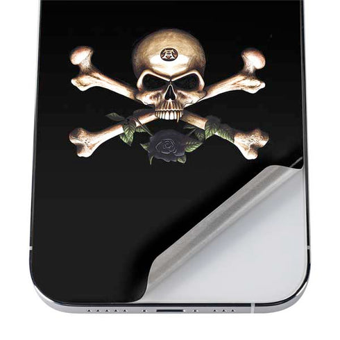 Alchemy Skull and Crossbones iPhone 12 Pro Max Skin