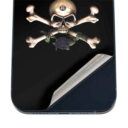Alchemy Skull and Crossbones iPhone 12 Skin
