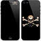 Alchemy Skull and Crossbones iPhone 5/5s/5SE Skin