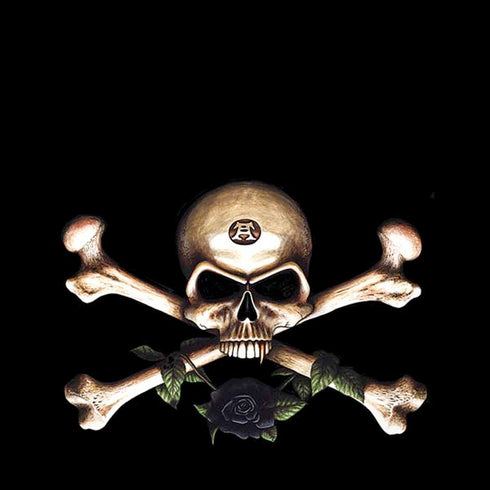 Alchemy Skull and Crossbones iPhone X Pro Case