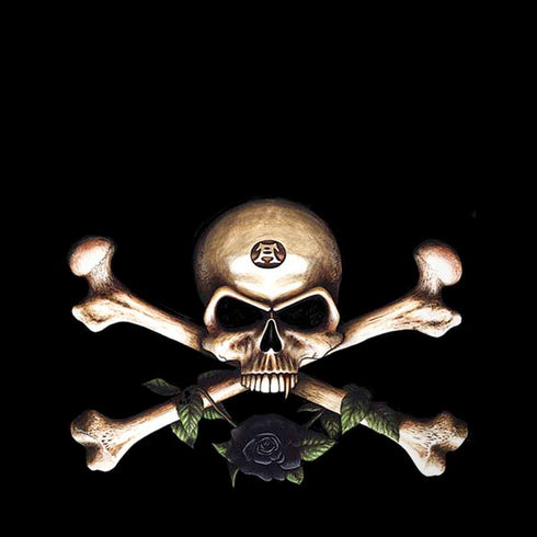 Alchemy Skull and Crossbones iPhone X Skin